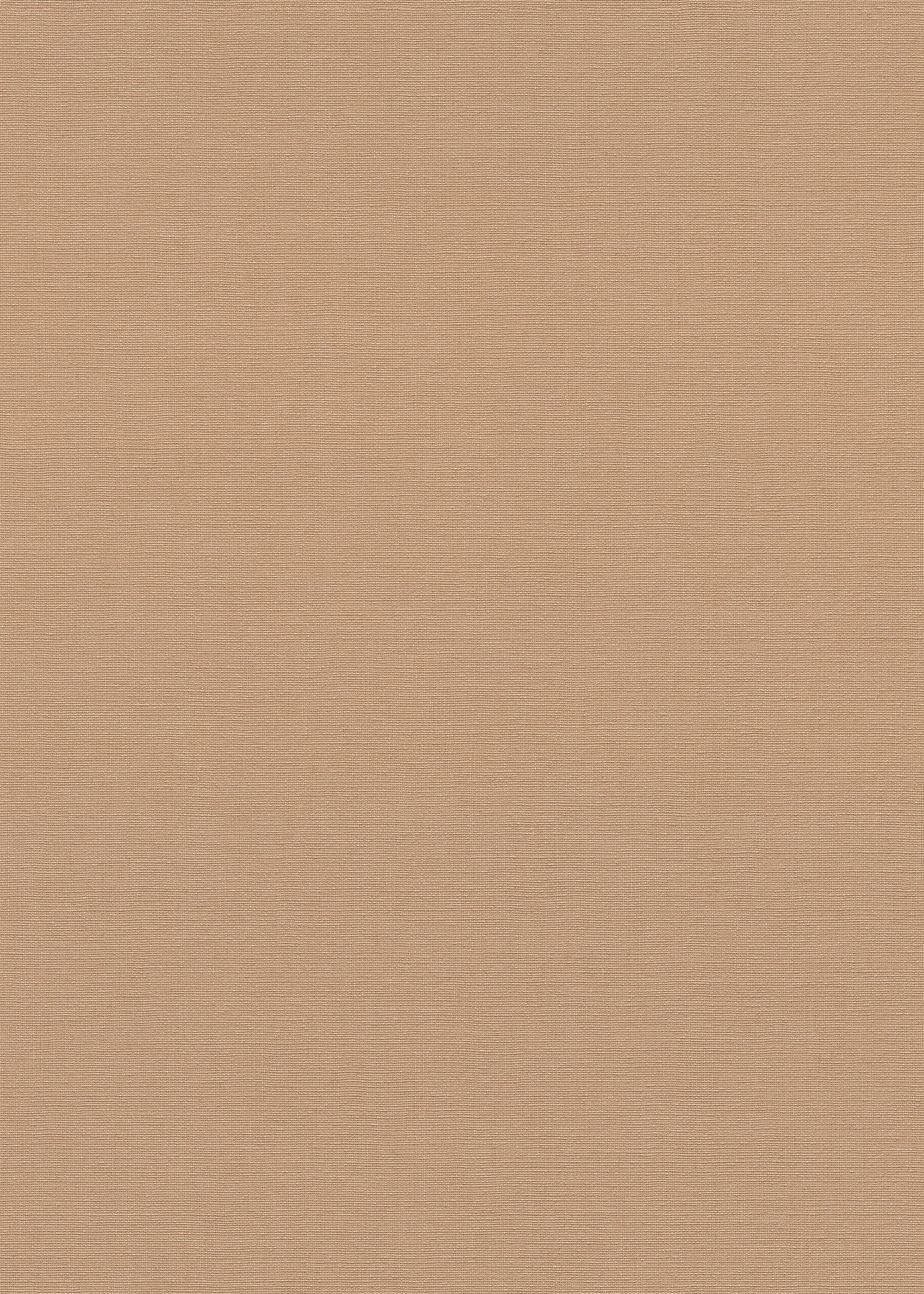 Beige Uni - ER06-0262 - Image1 - La Terasse - 1026206