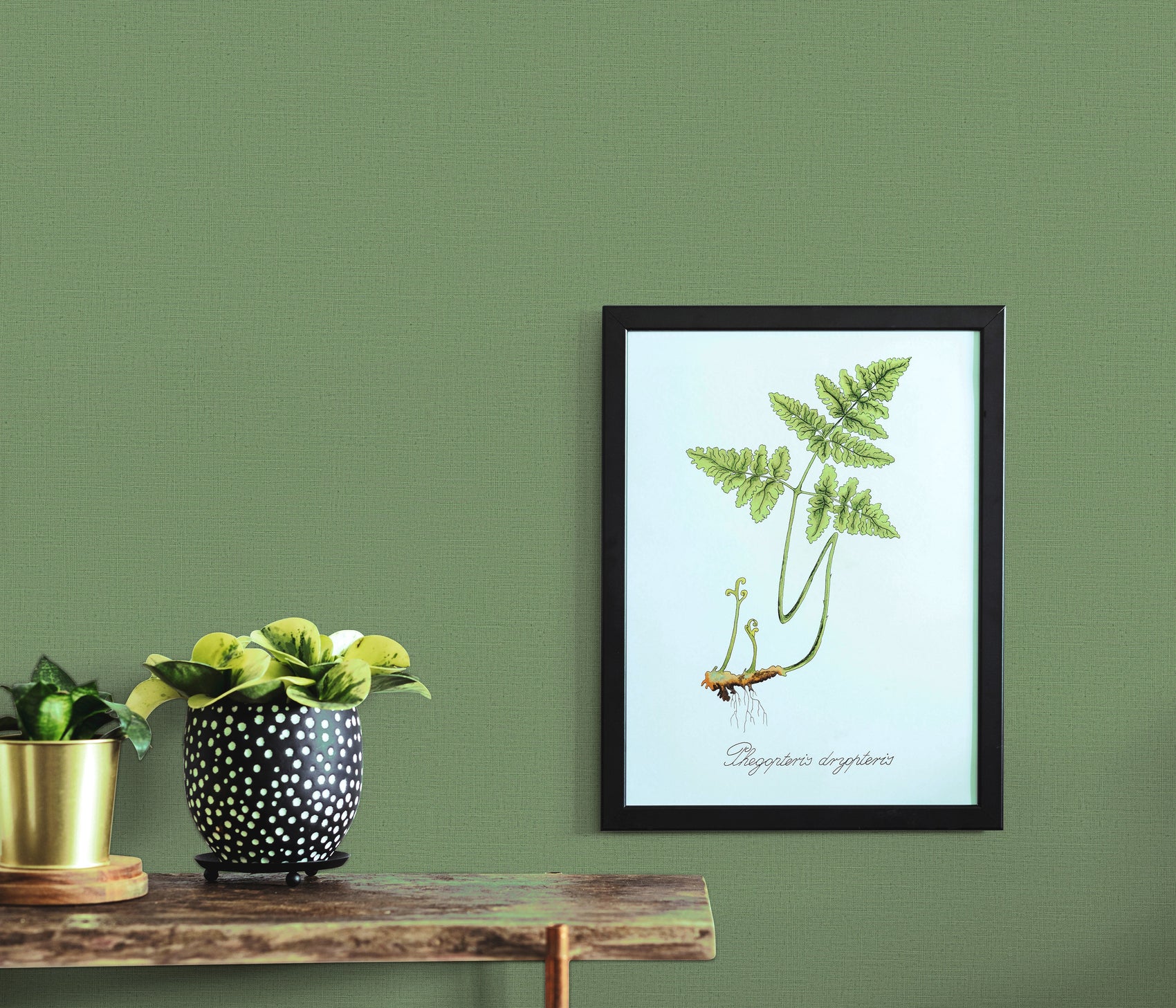 Groen Textiel - ER07-0262 - Image3 - La Terasse - 1026207