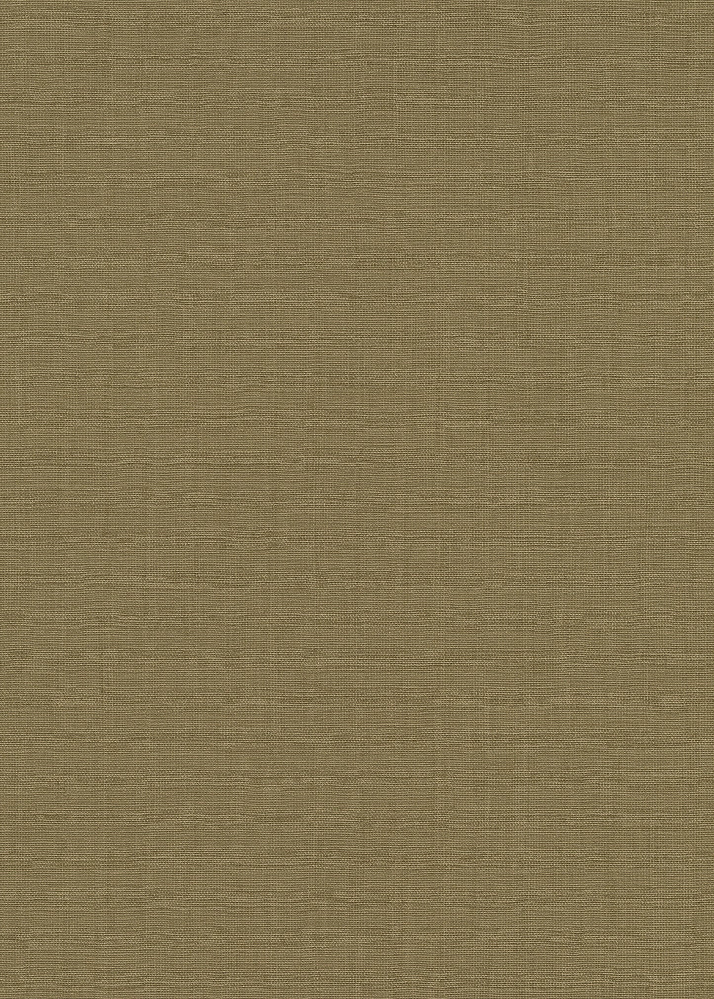 Groen Textiel - ER24-0262 - Image1 - La Terasse - 1026224