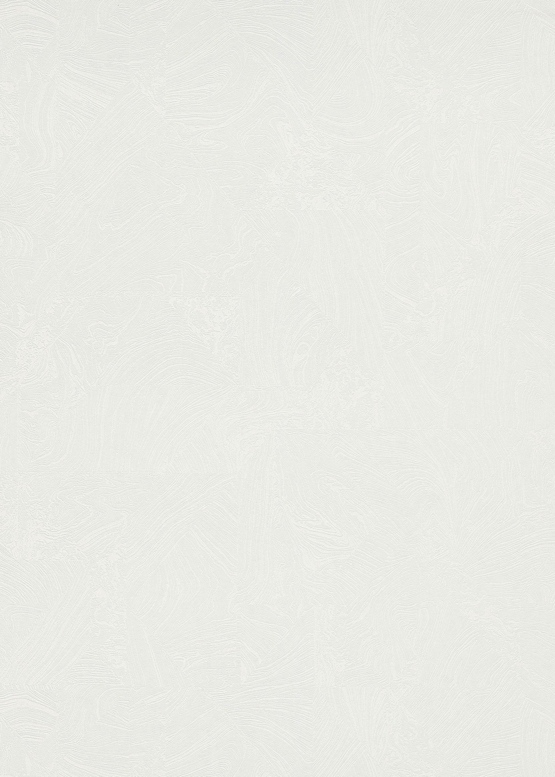 Wit Abstract - ER31-0358 - Image1 - 4 Earth - 1035831