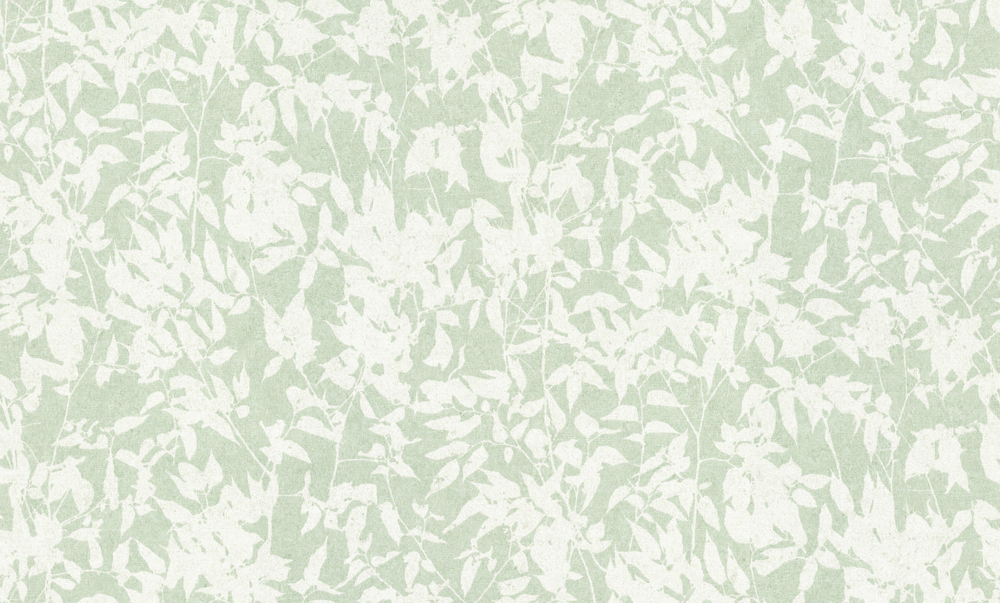 Wit Botanisch - ER07-0435 - Image4 - Gentle - 1043507