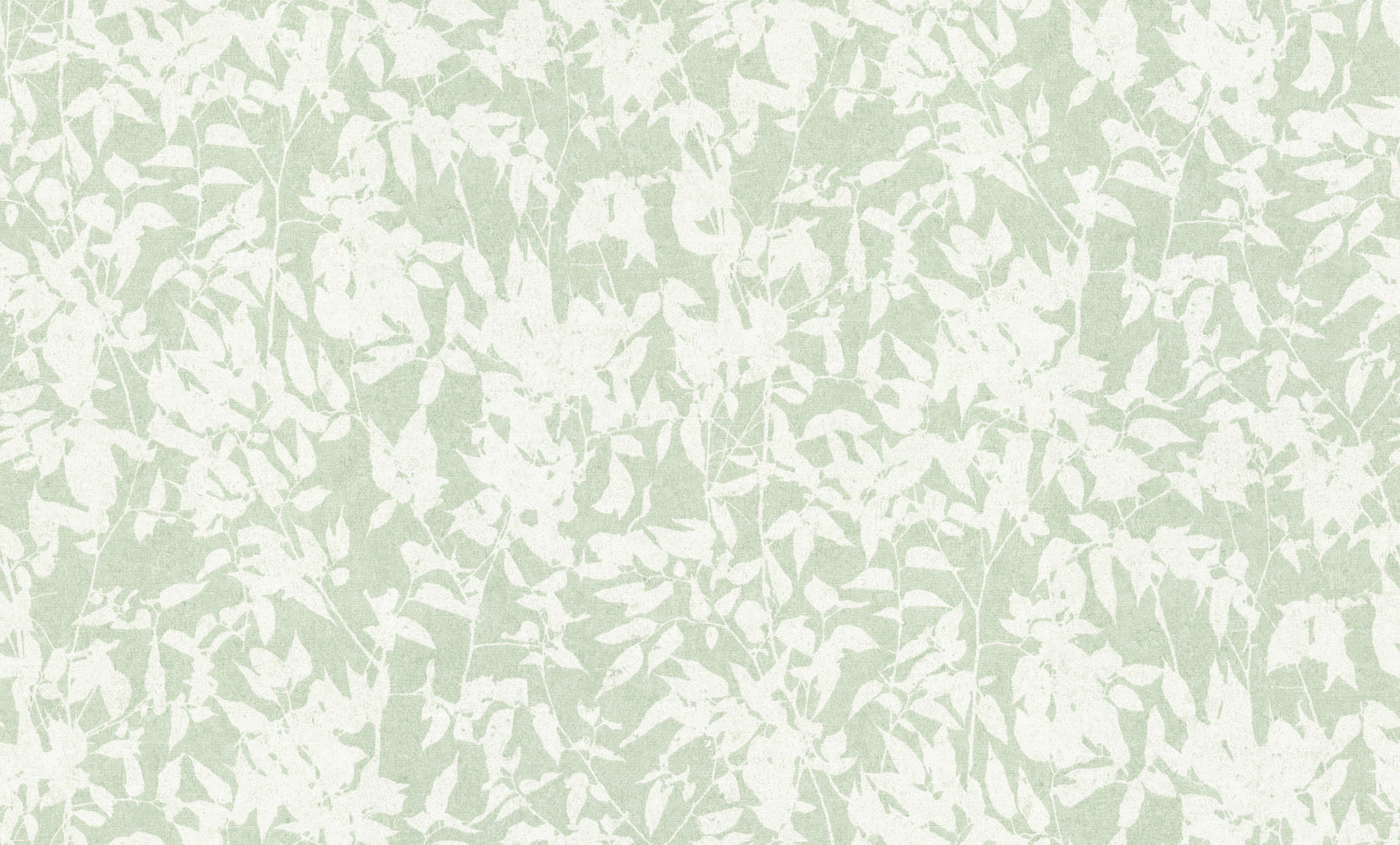 Wit Botanisch - ER07-0435 - Image4 - Gentle - 1043507