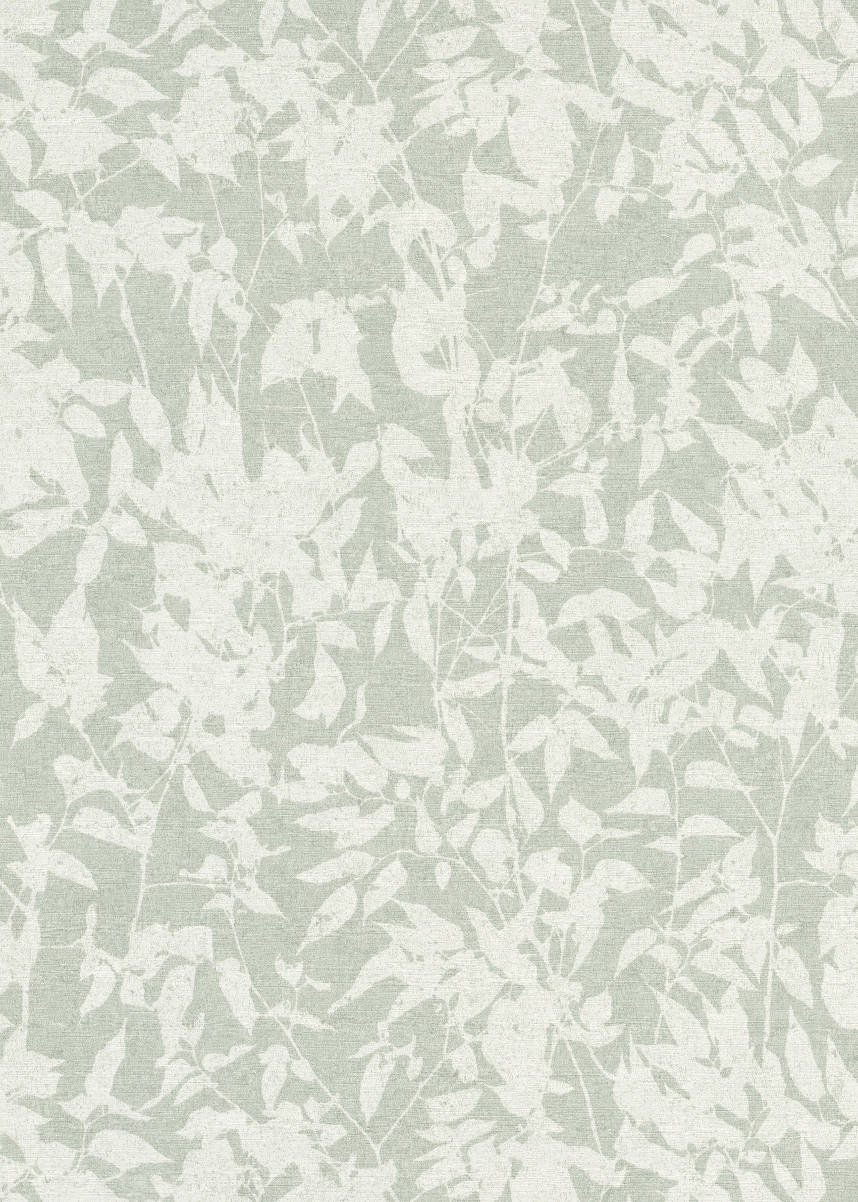 Wit Botanisch - ER07-0435 - Image1 - Gentle - 1043507