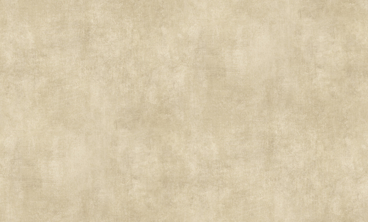 Beige Uni - ER02-0438 - Image5 - Elle 4 - 1043802