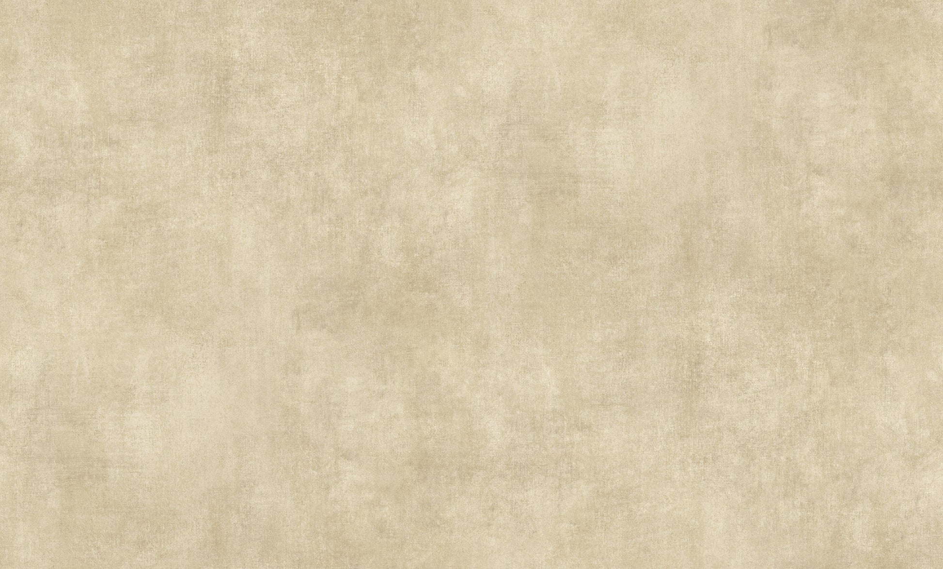Beige Uni - ER02-0438 - Image5 - Elle 4 - 1043802