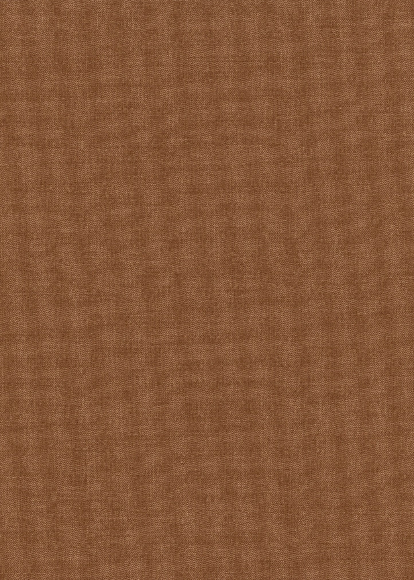 Bruin Uni - ER13-0444 - Image1 - Coulours & Textures - 27128
