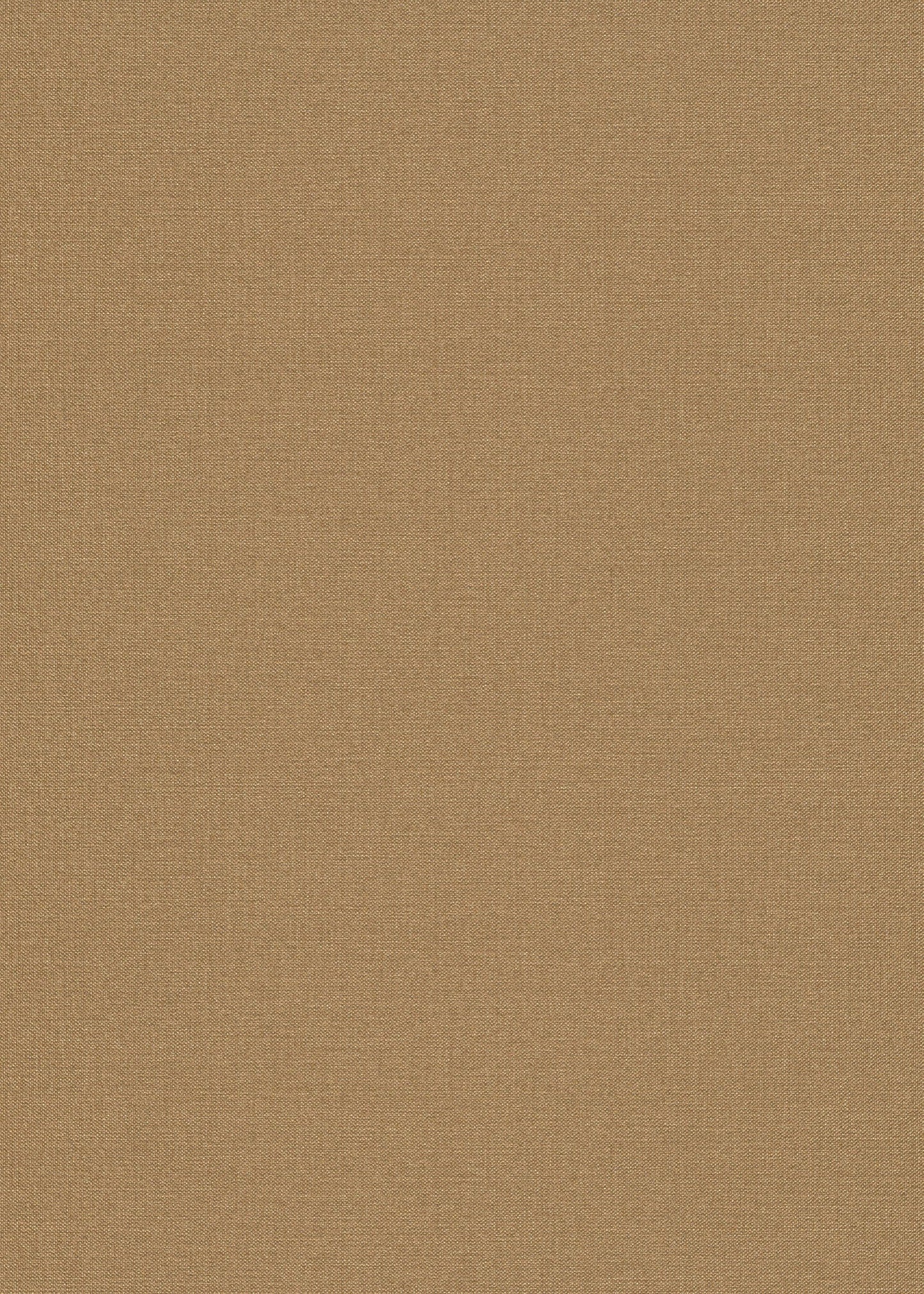 Beige Uni - ER30-0444 - Image1 - Coulours & Textures - 27130