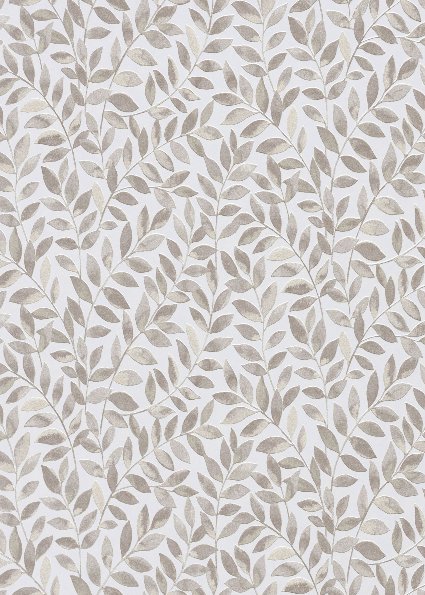 bruin Botanisch - ER11-0462 - Image1 - Opus-2 - 1046211