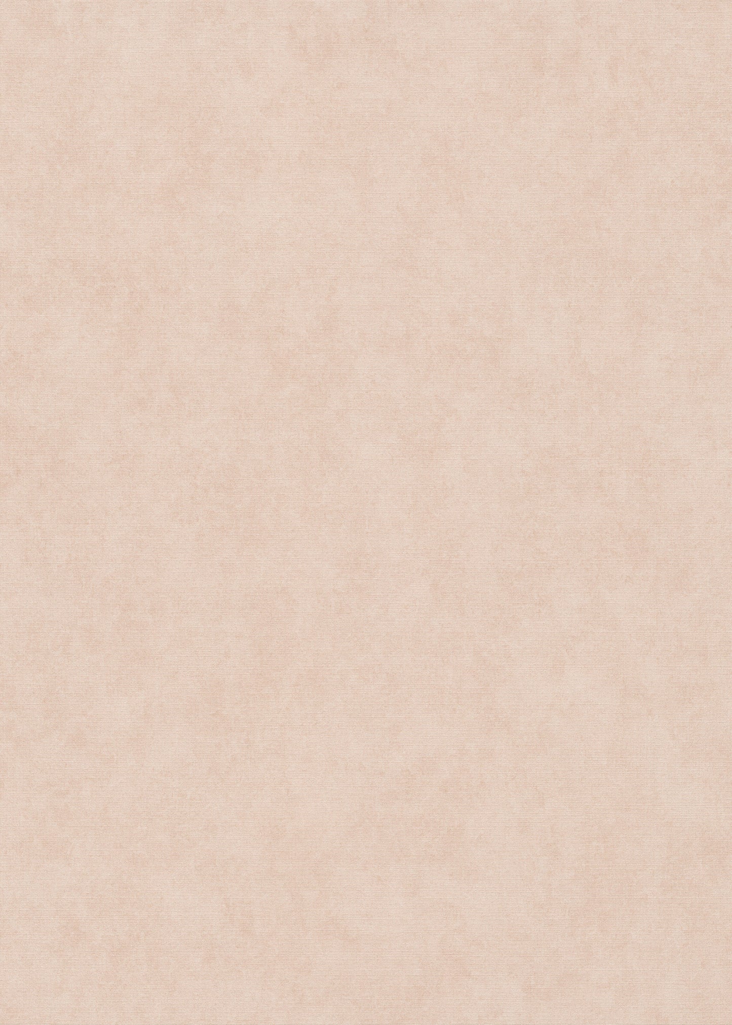 Beige Uni - ER05-0473 - Image1 - Coulours & Textures - 27152