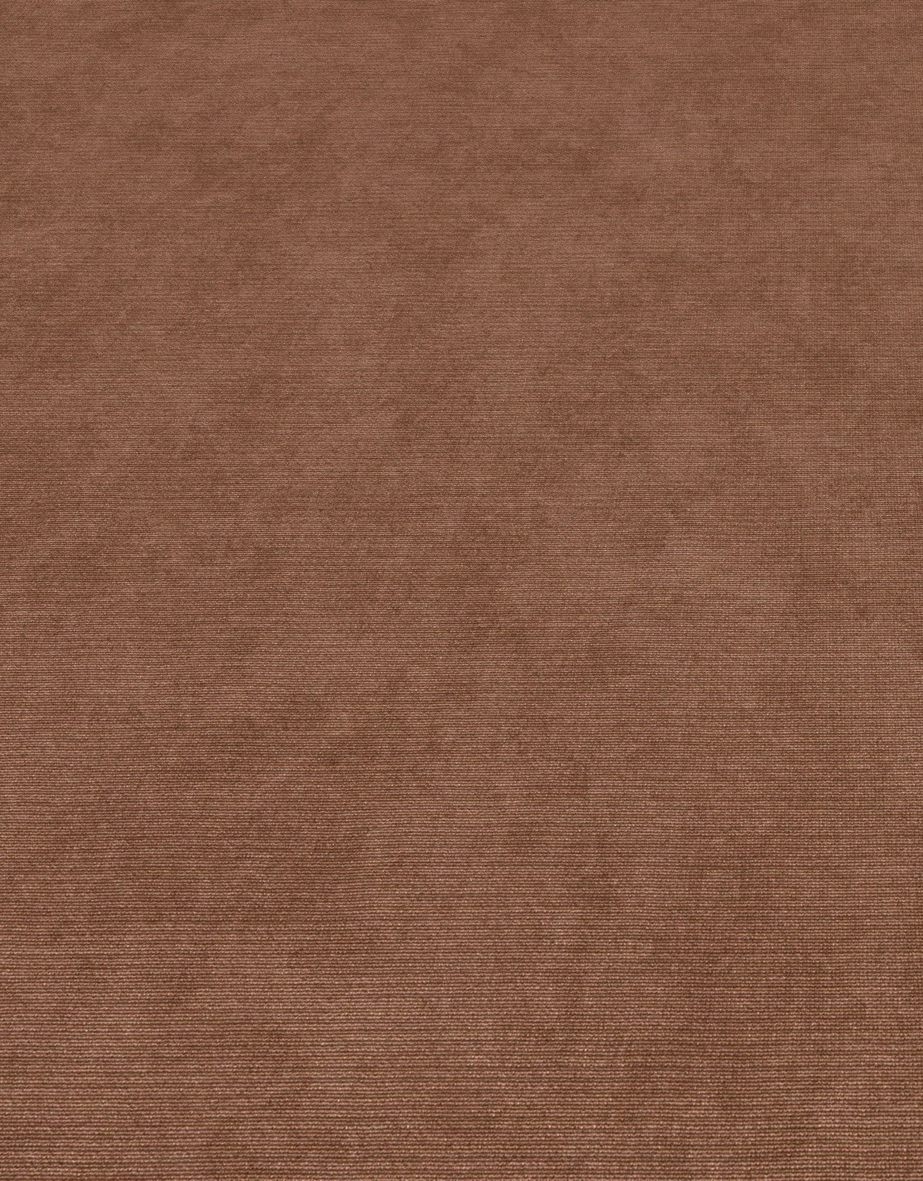 Bruin Uni - ER48-0473 - Image4 - Elysium - 1047348