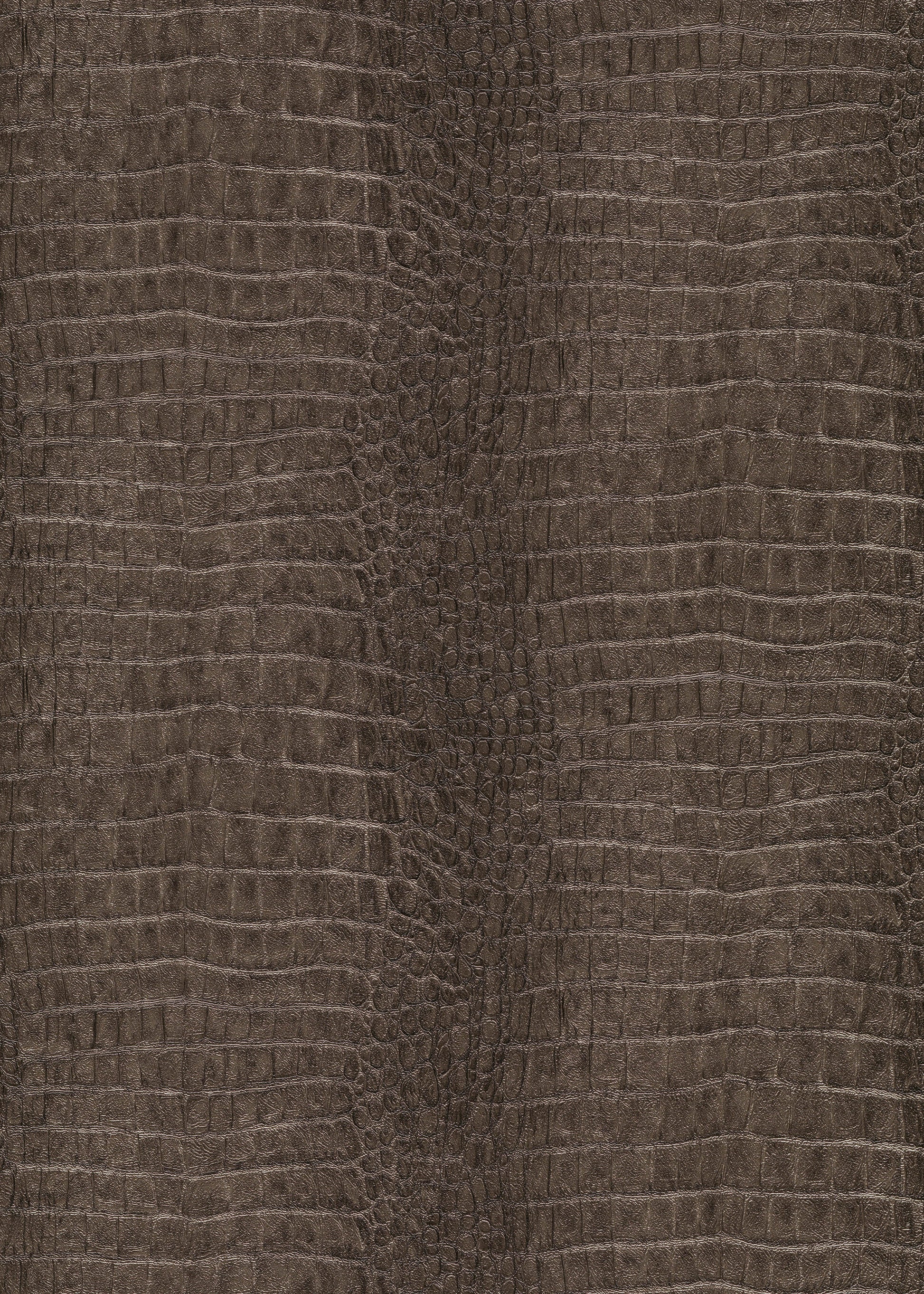 Bruin Dieren - ER11-0560 - Image1 - Forest Dreams - 1056011
