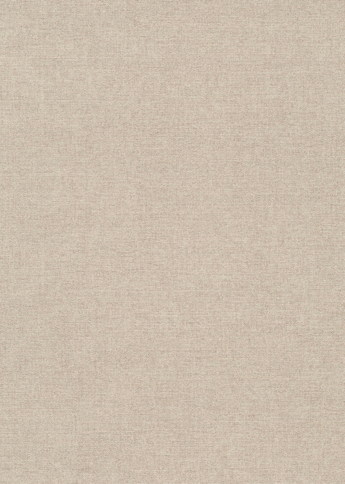 Beige Uni - ER02-0563 - Image1 - Forest Dreams - 1056302