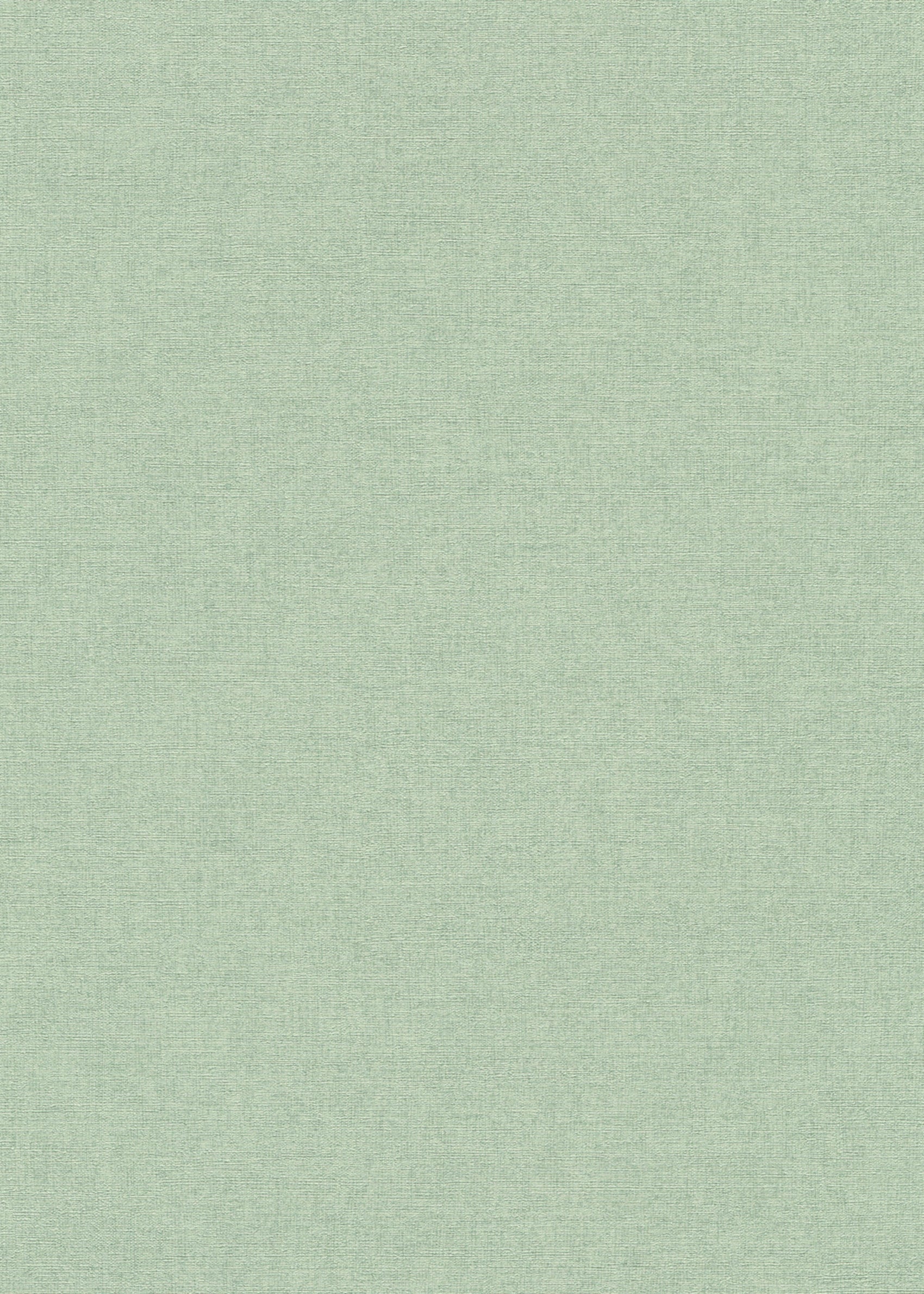 Groen Uni - ER07-0563 - Image1 - Forest Dreams - 1056307