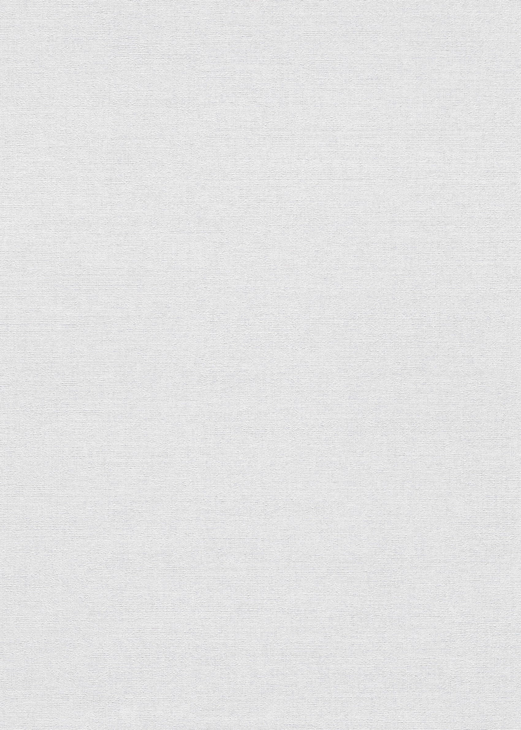 Wit Uni - ER10-0563 - Image1 - Forest Dreams - 1056310