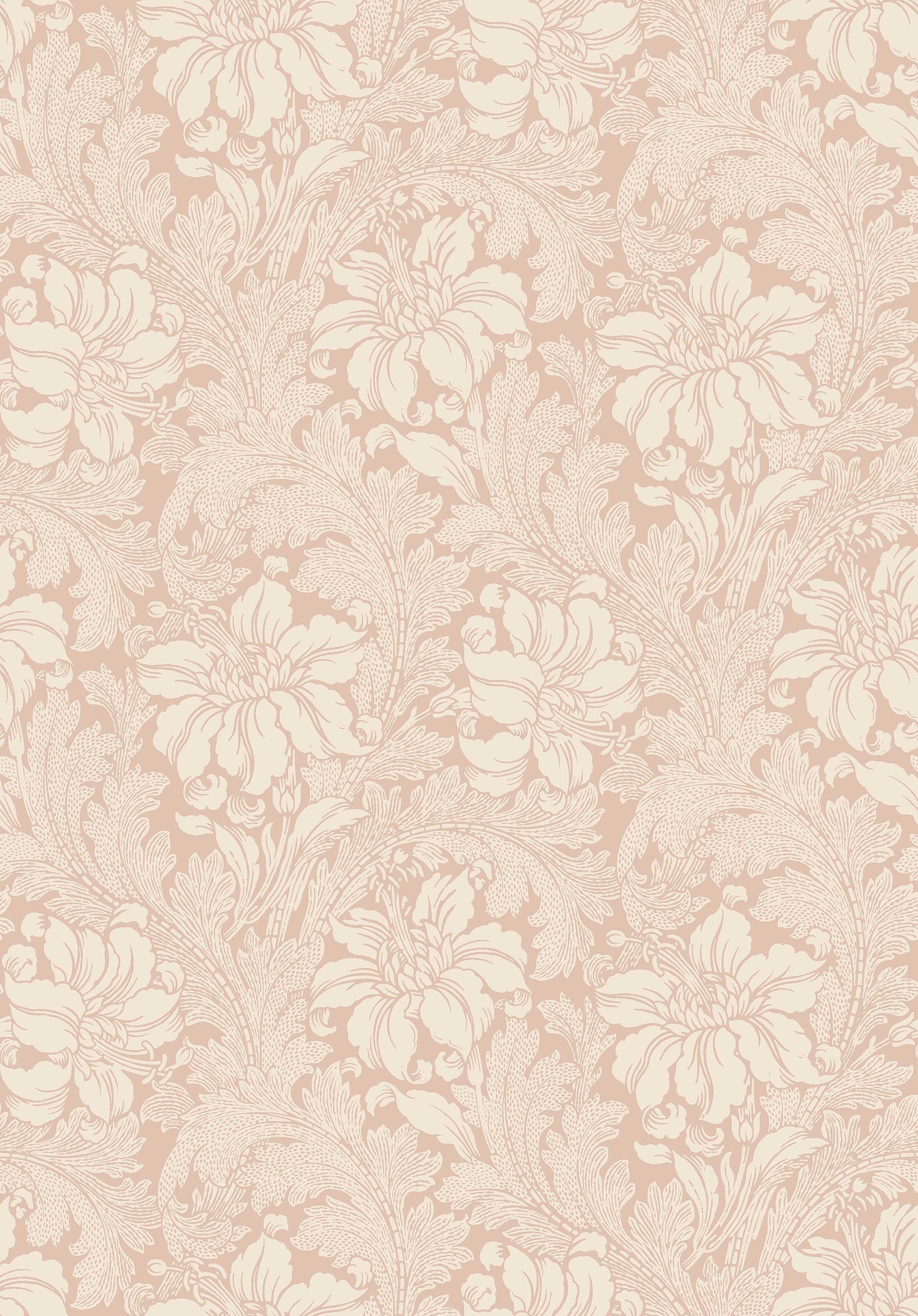 Roze Klassiek - BS09-0120 - Image1 - Vårt Arkiv / Icons - 2009