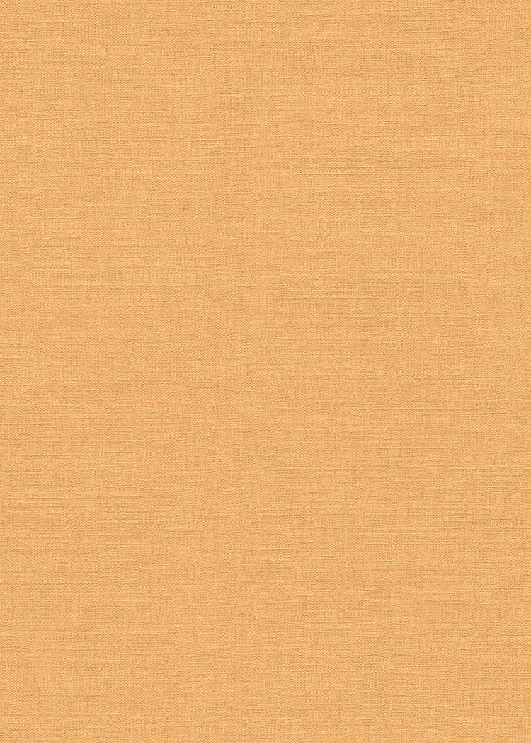 Oranje Uni - ER04-0450 - Image1 - Coulours & Textures - 27135