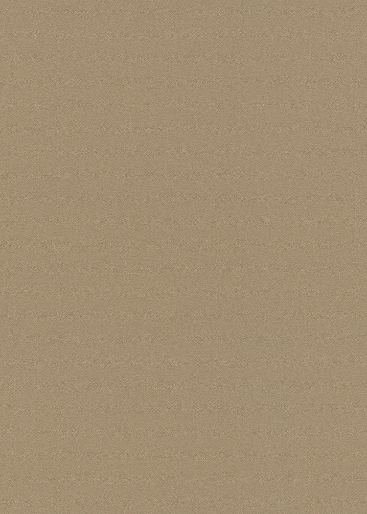 Beige Uni - ER32-0475 - Image1 - Coulours & Textures - 27174