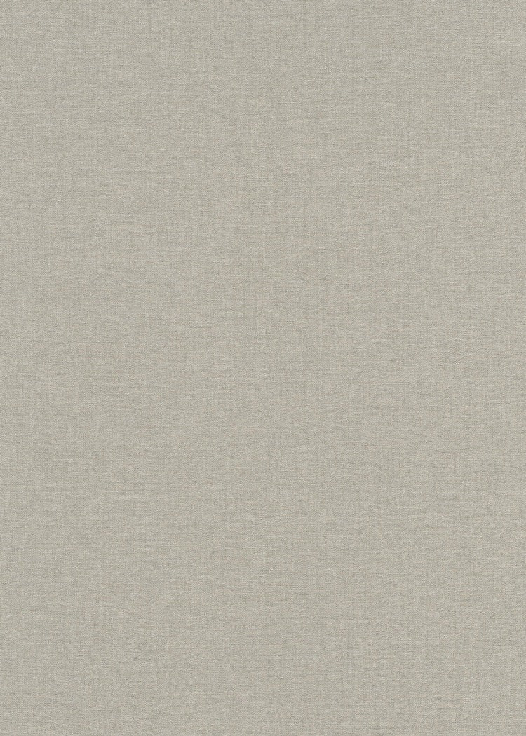 Taupe Uni - ER37-0510 - Image1 - Coulours & Textures - 27185