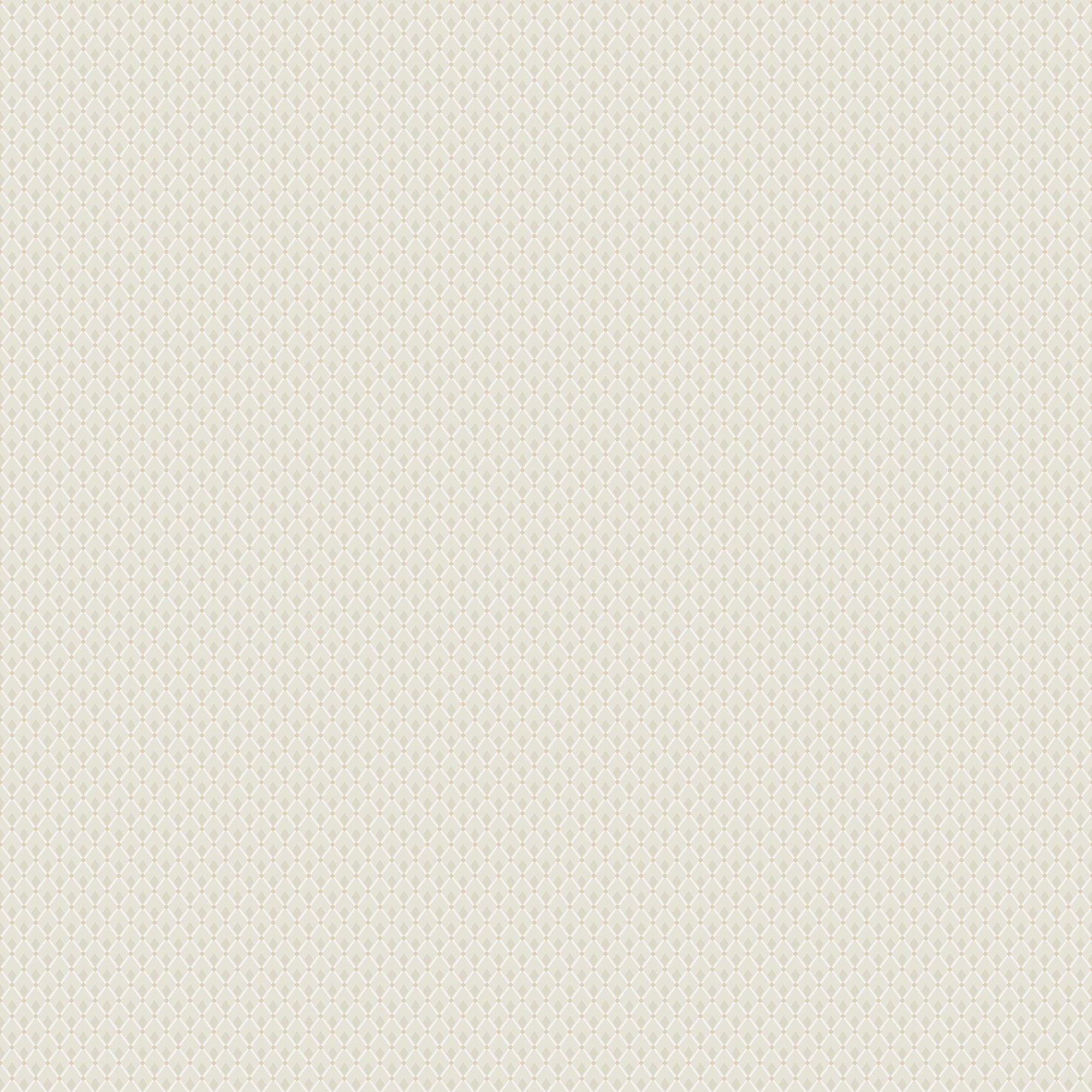 Beige Grafisch - BS87-0132 - Image1 - Timeless Traditions - 3287