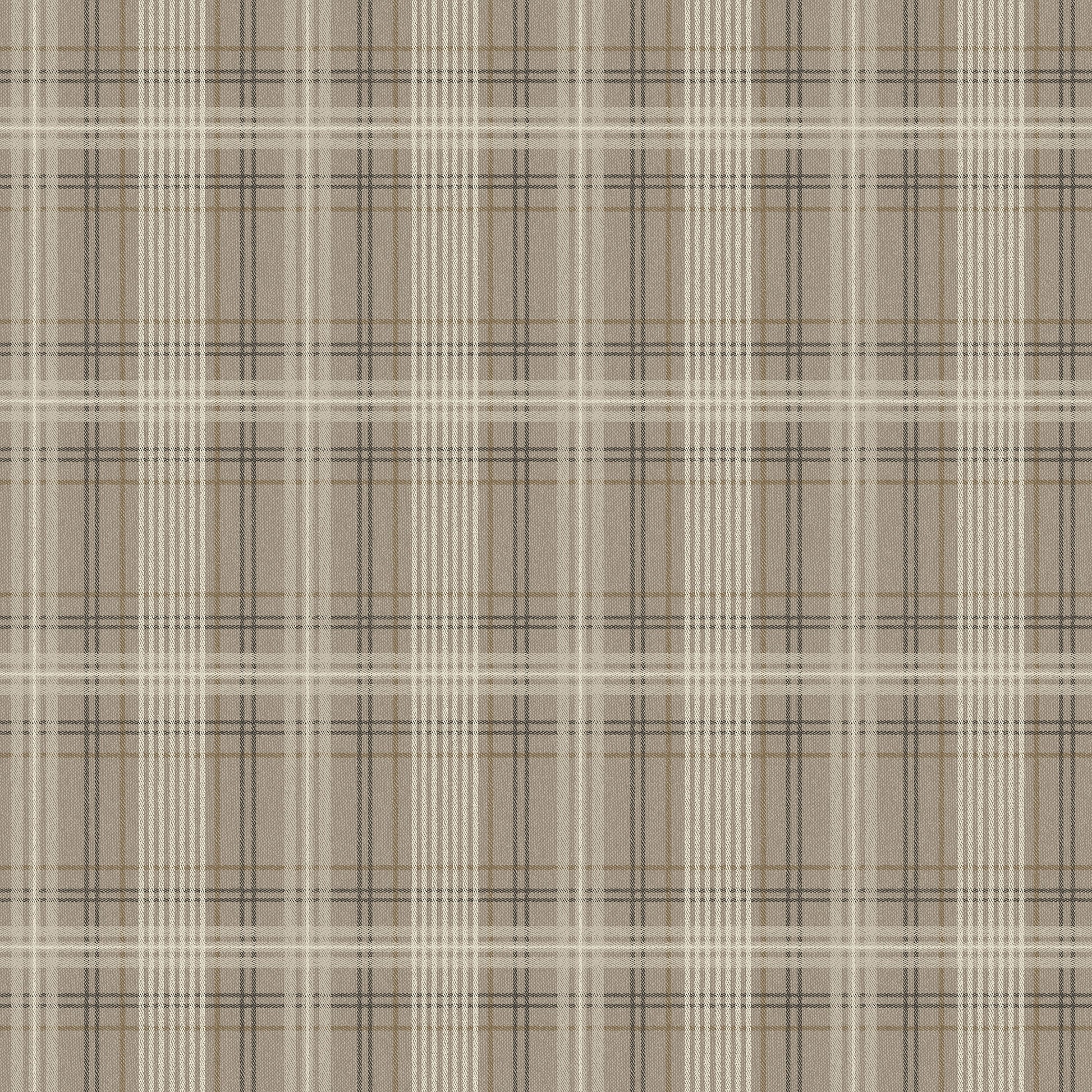 Taupe Klassiek - BS79-0135 - Image1 - Cottage garden - 3579