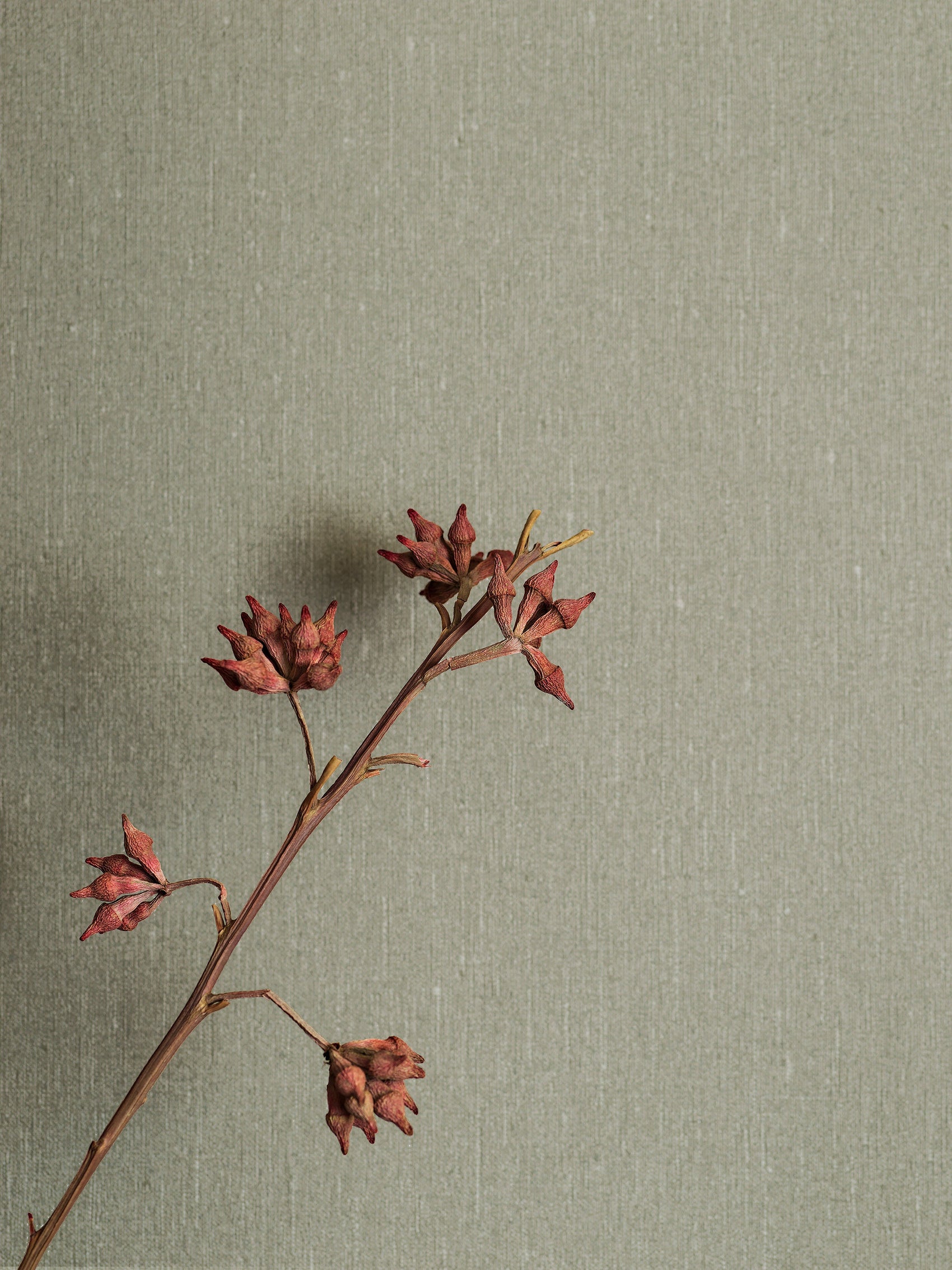 Taupe Textiel - BS35-0143 - Image7 - Linen - 4335