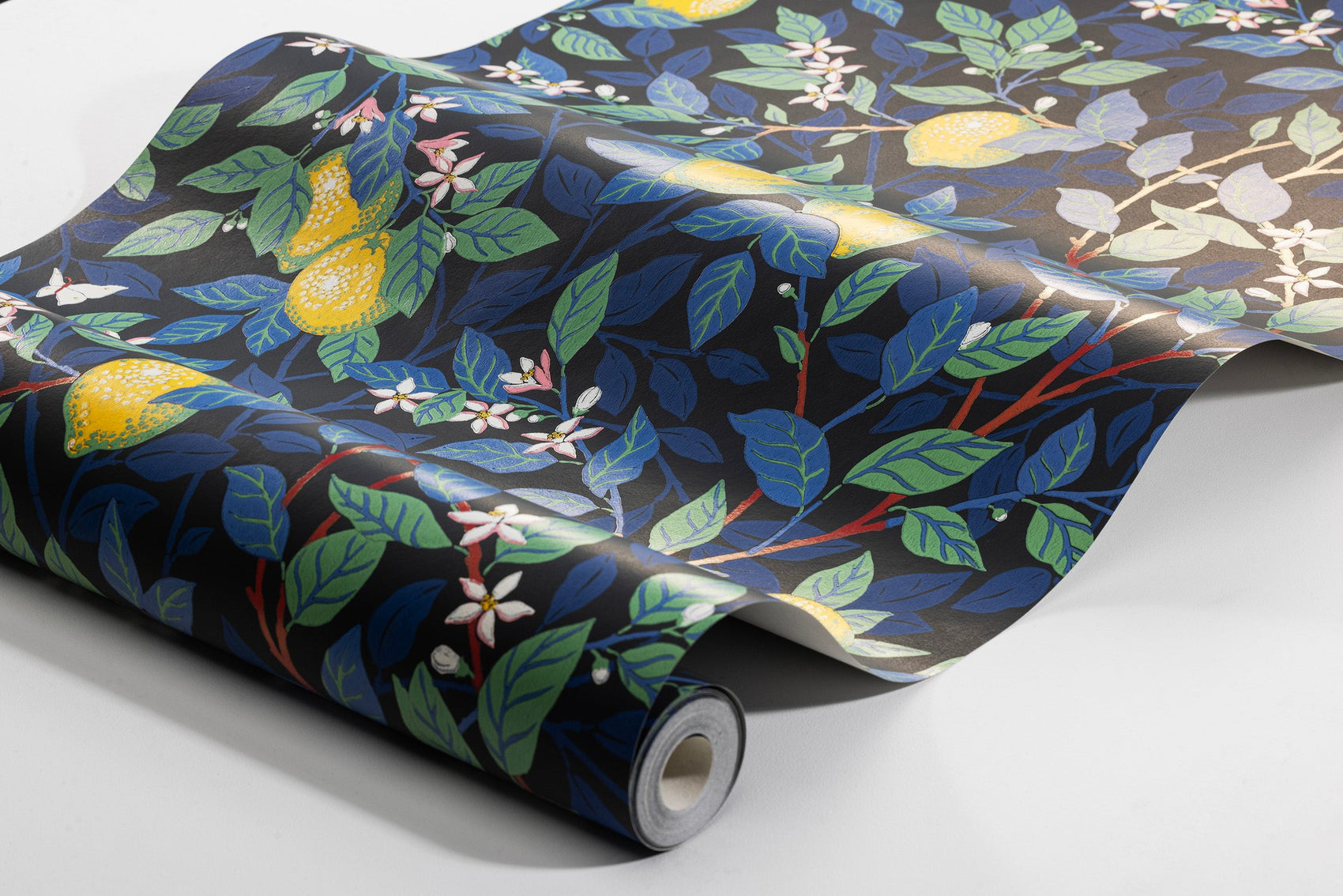 Zwart Botanisch - BS03-0157 - Image5 - Orangeri - 5703