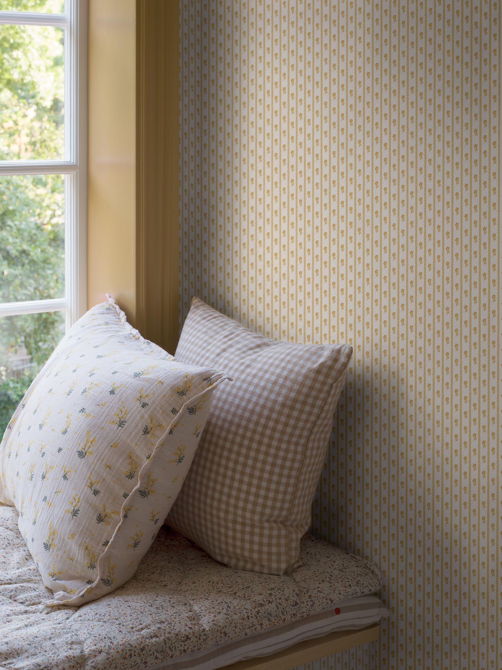 Geel Klassiek - BS53-0169 - Image3 - Österlen - 6953