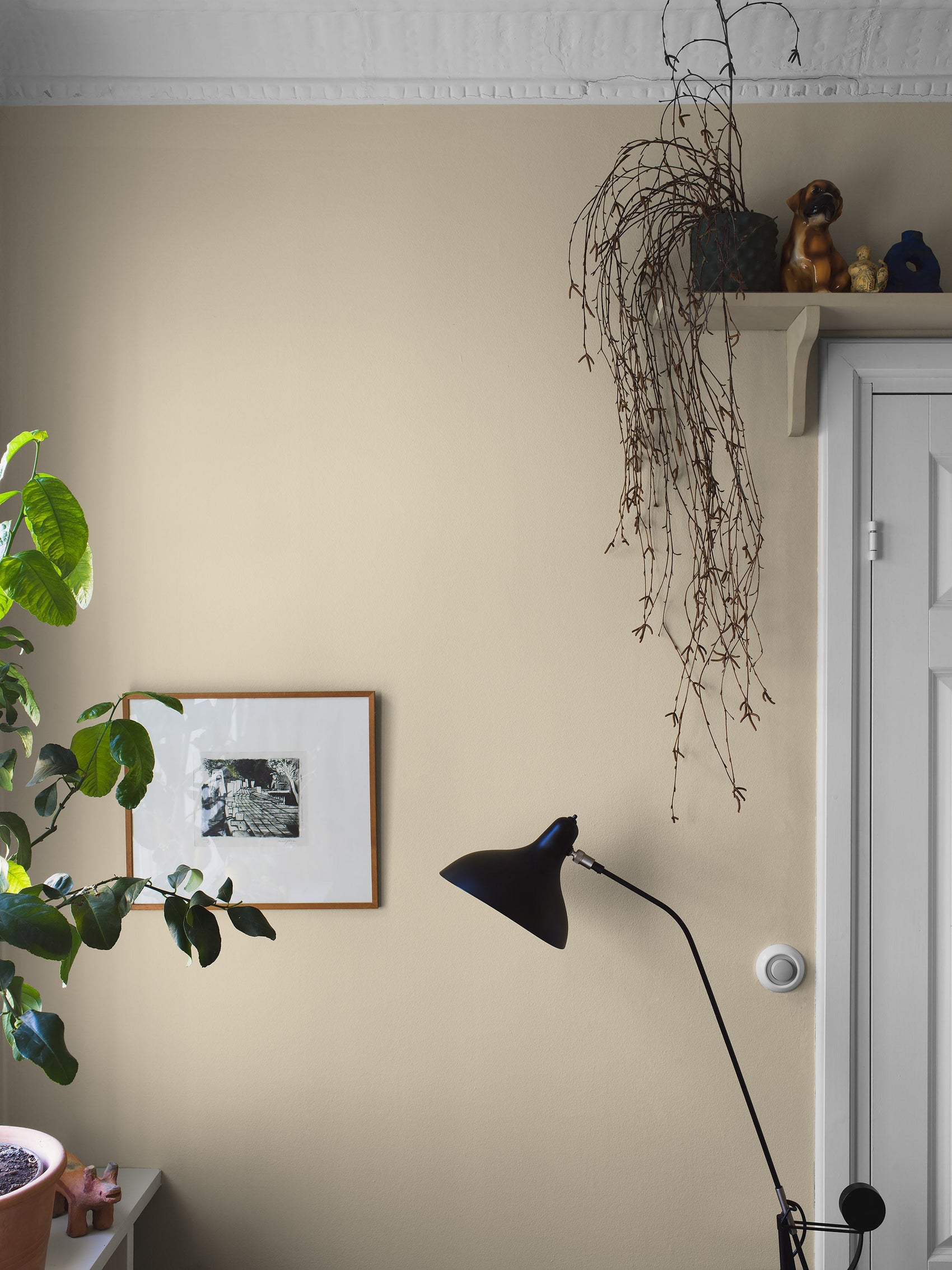 Geel Uni - BS55-0175 - Image2 - Pigment - 7555