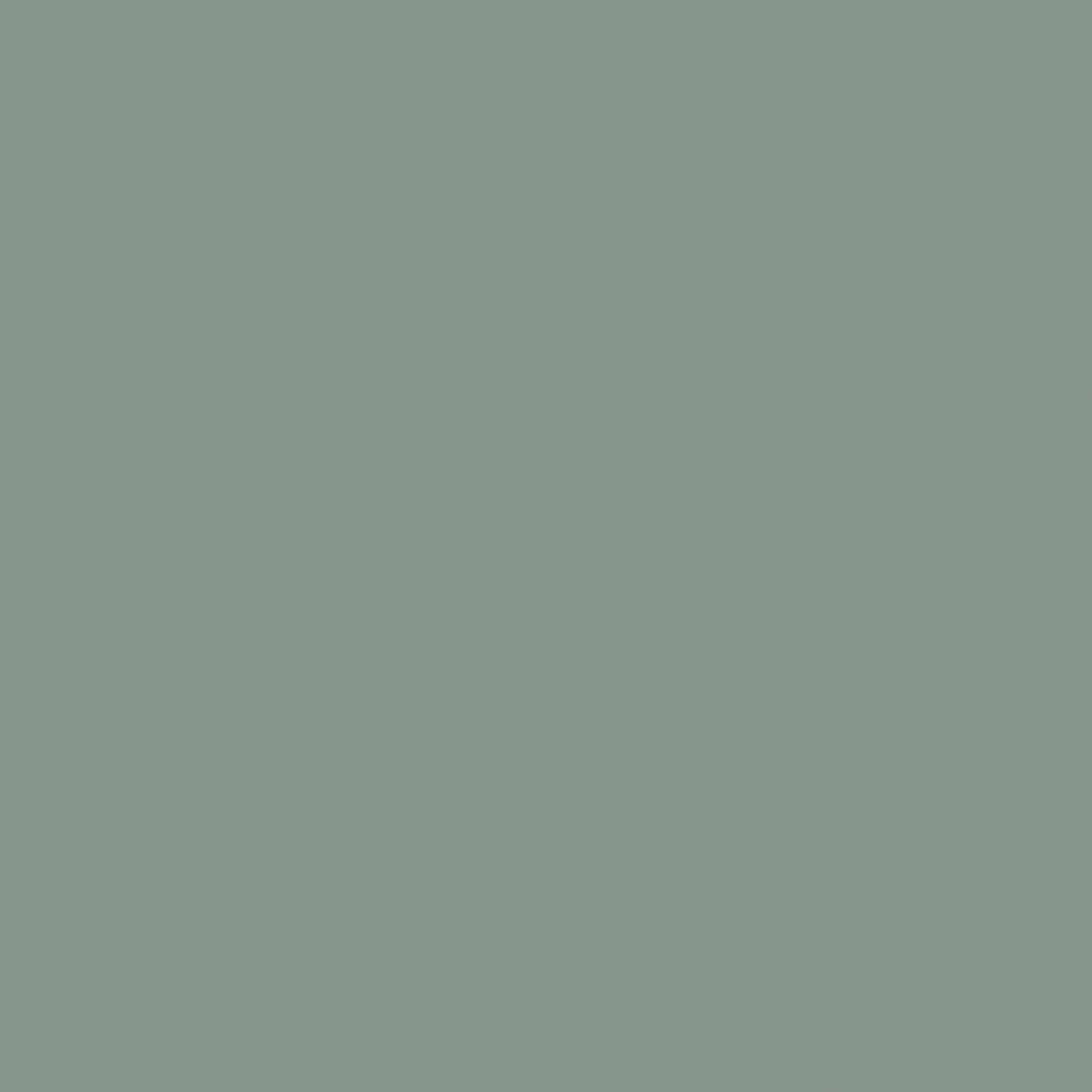 Groen Uni - BS56-0175 - Image1 - Pigment - 7556