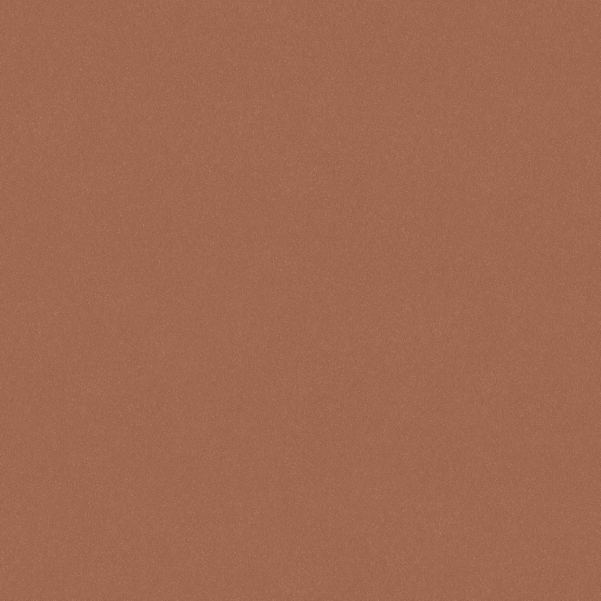 Rood Uni - BS78-0175 - Image1 - Pigment - 7578