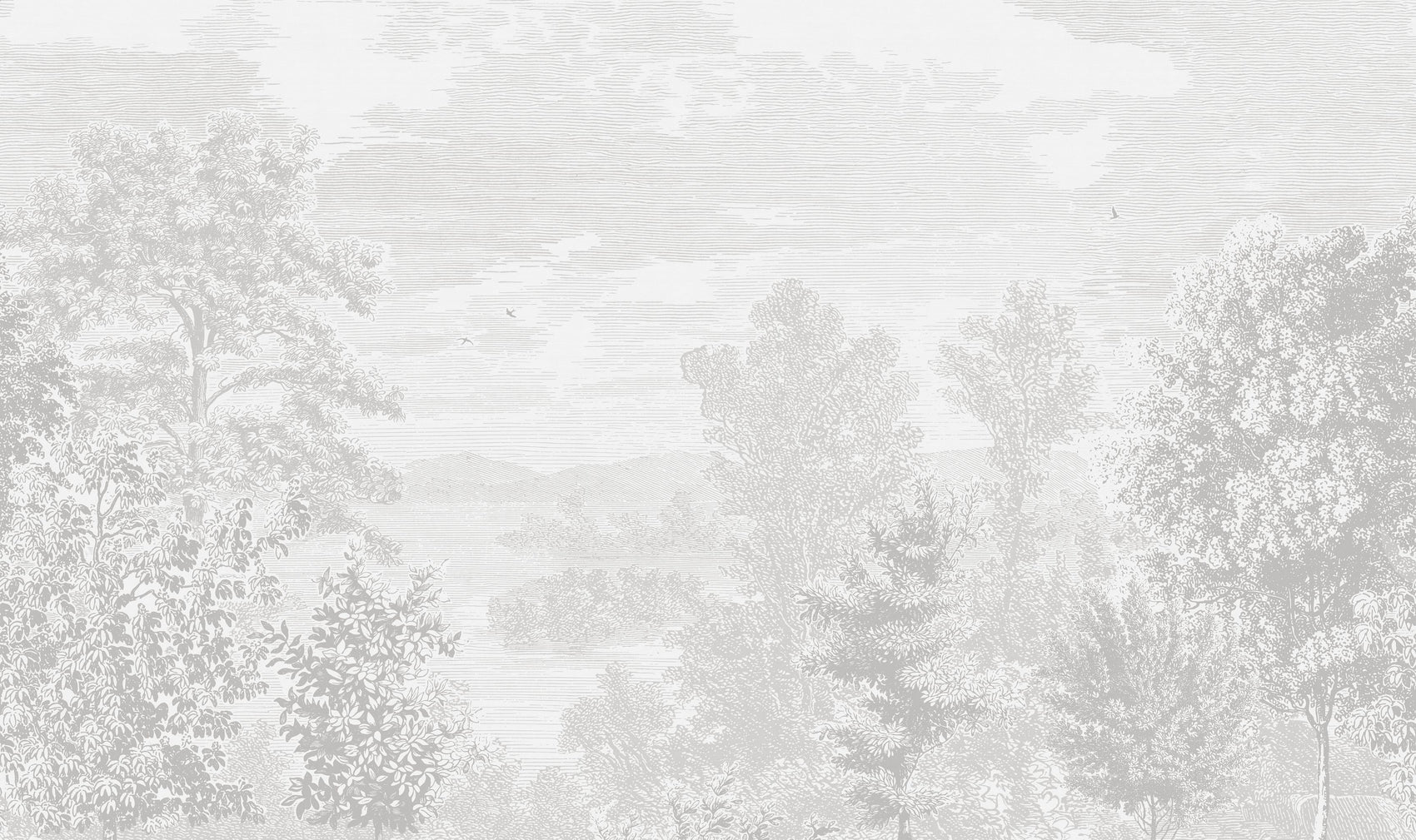 Geëtst Landschap Grijs BS5W-2947