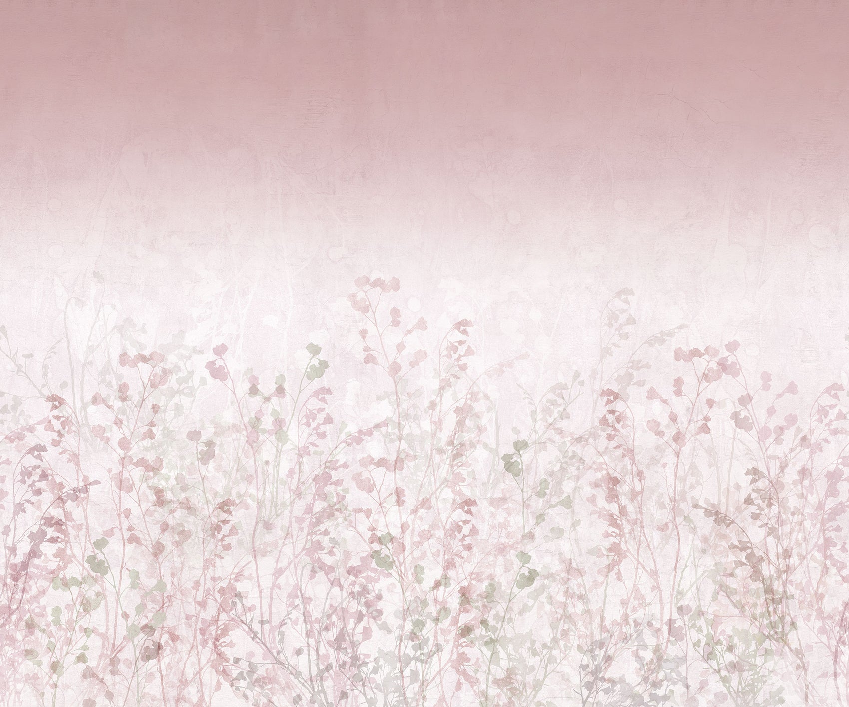 Roze Bloemenveld Roze BS4W-2952