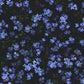 Vergeet-Mij-Niet Blauw BS6W-2952