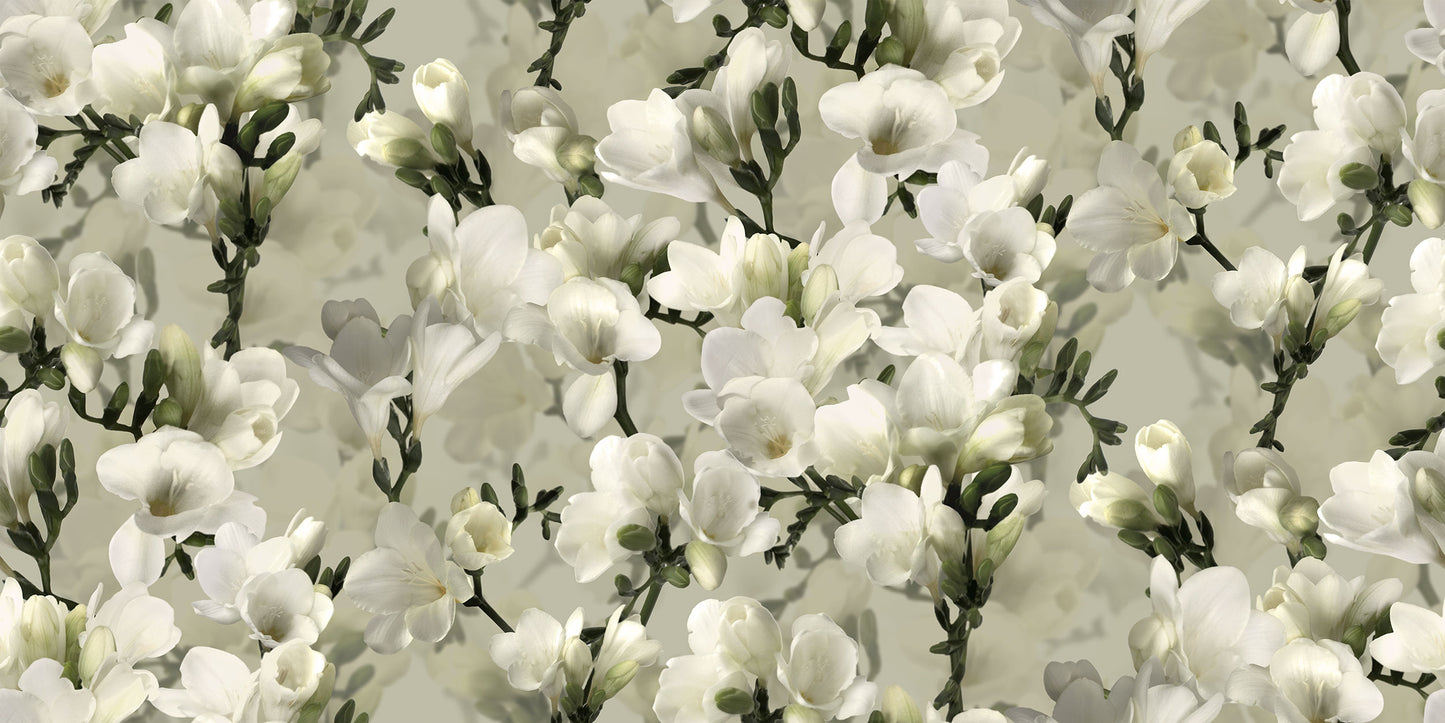 Witte Lelie Wit BS1W-2955