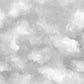 Wolkenlucht Grijs BS8W-2955