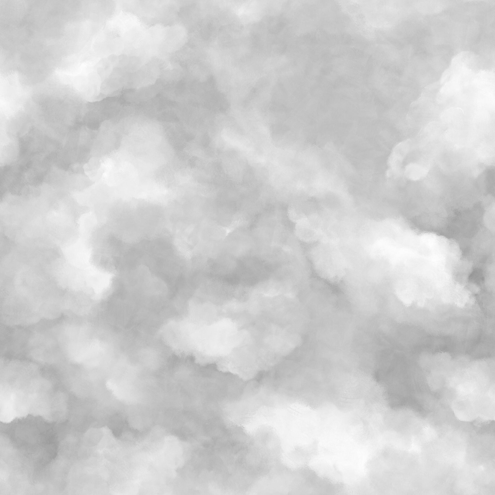 Wolkenlucht Grijs BS8W-2955