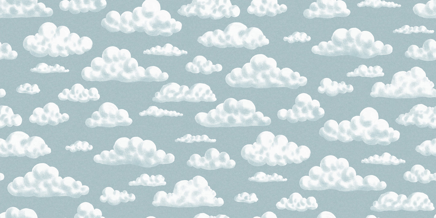 In de Wolken Blauw BS8W-2961