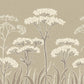 Achillée Art Nouveau Beige BS3W-2969