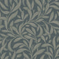 Vintergröna Grand Blauw BS6W-2974