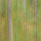 Oktoberbjörkar Groen BS1W-2977