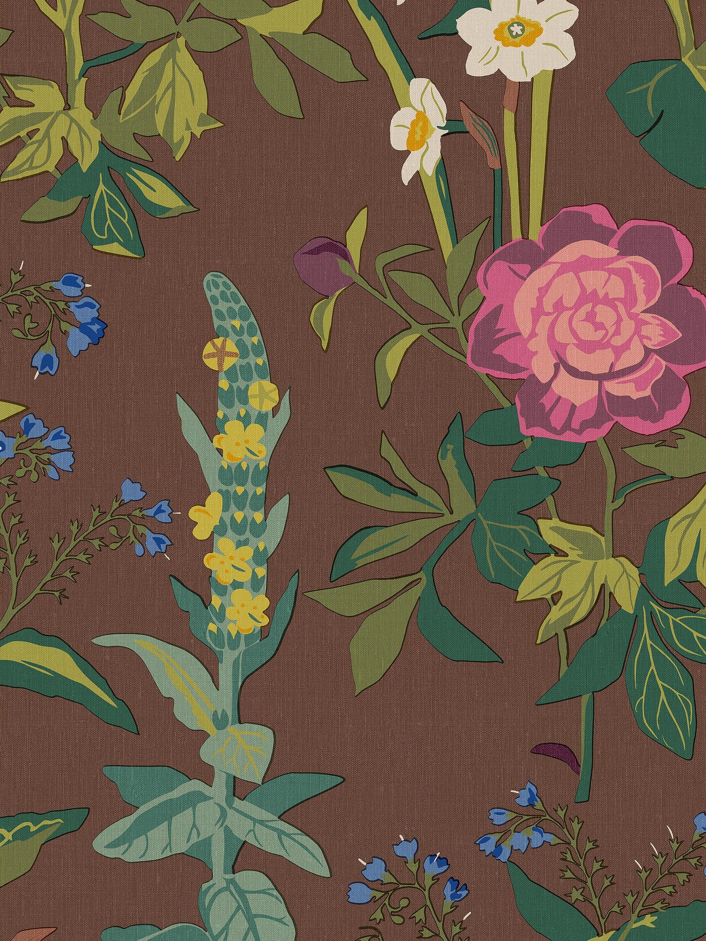 Sommar Bruin BS2W-2982