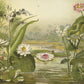 Waterplanten NH250004