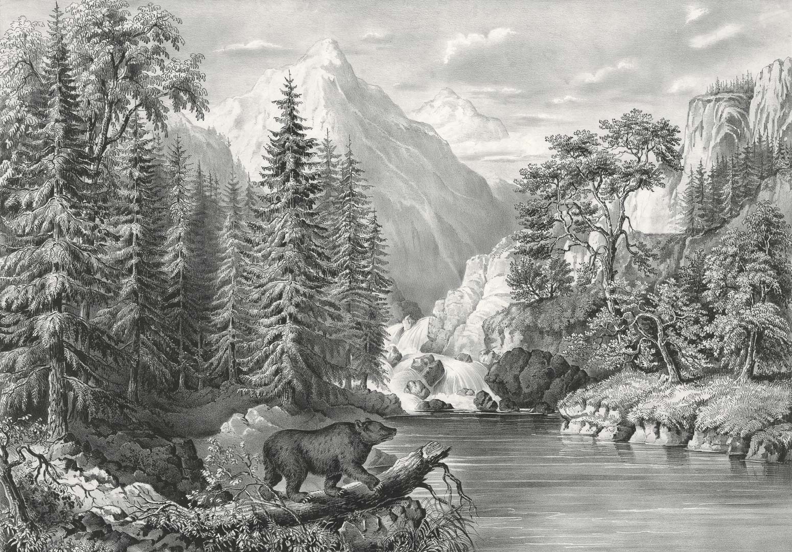 Amerikaanse grizzlybeer bij bergmeer NH250008