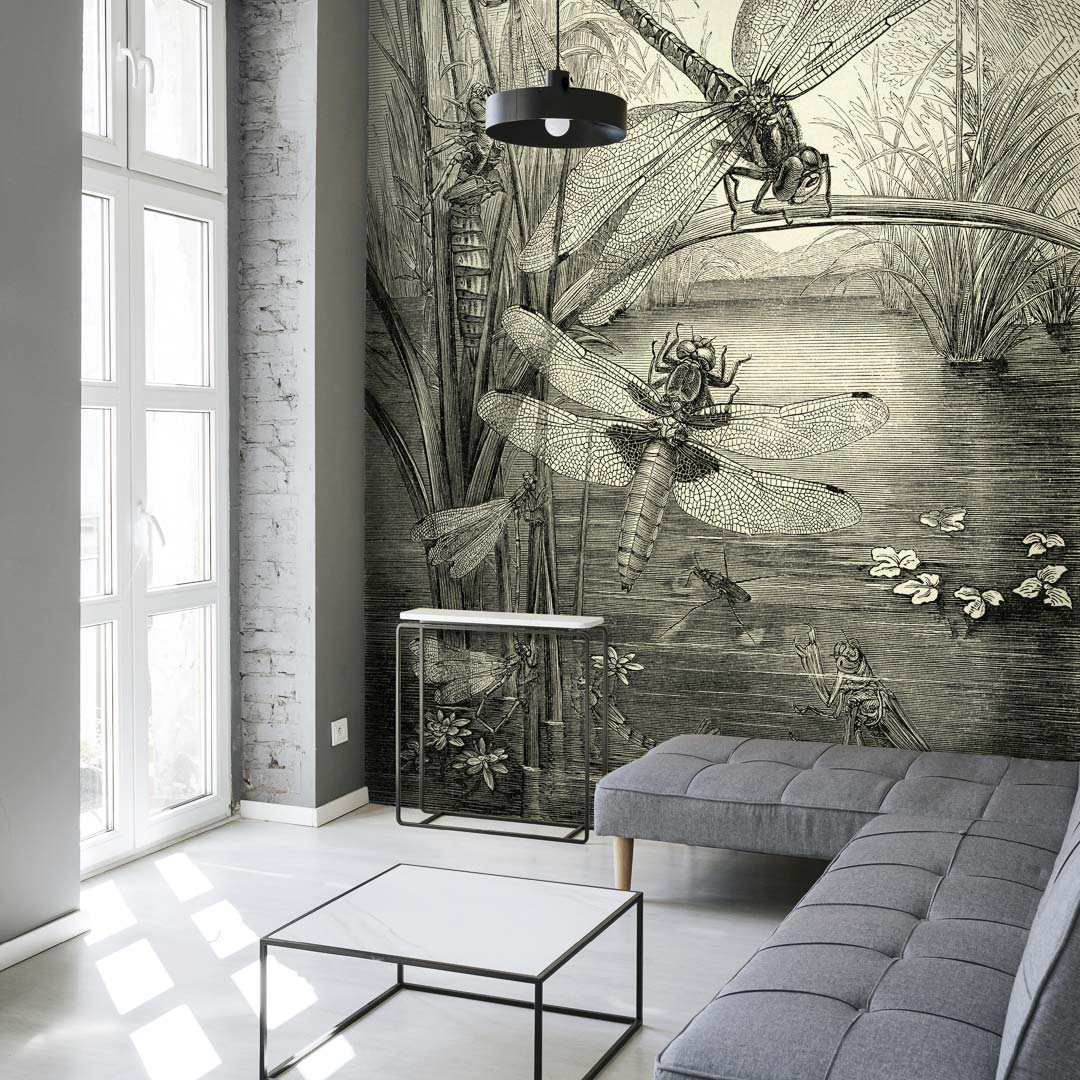 Libellen NH250022