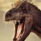 Tyrannosaurus rex (T.rex) NH250028