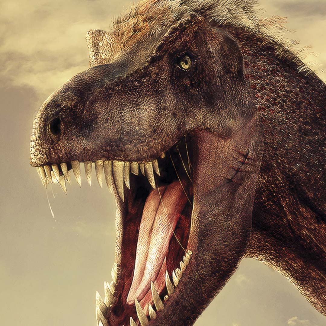 Tyrannosaurus rex (T.rex) NH250028