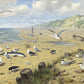 Aan het strand NH250064