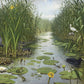 Naardermeer NH250066