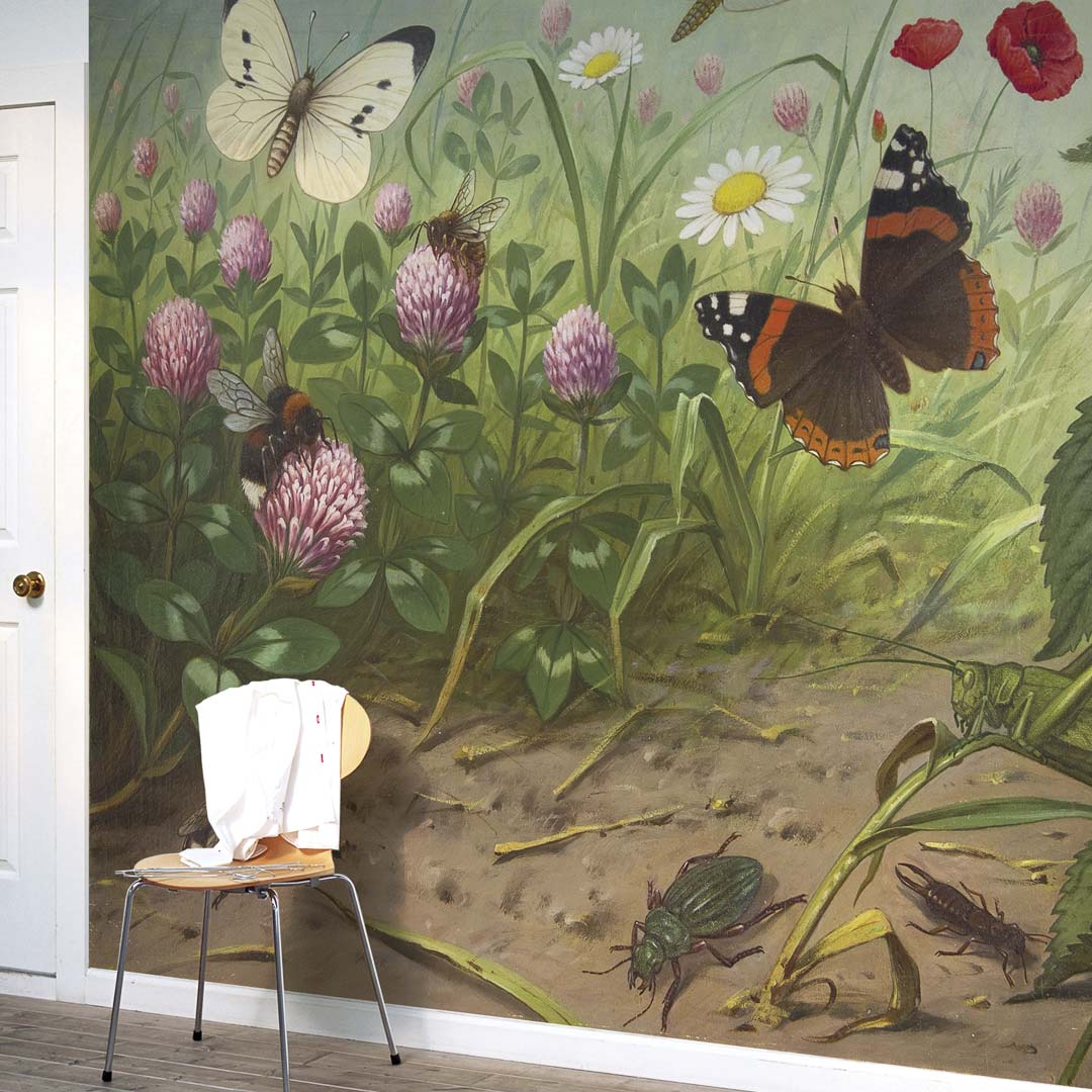 Insecten NH250067