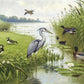 Water- en weidevogels NH250074